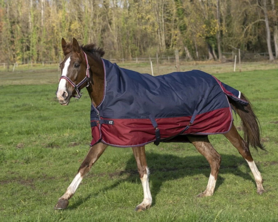 Pferde Outdoordecke 50g High Neck Equithème 1200D Weide- Regendecke blau/rot - Bild 2 von 4