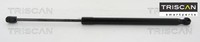 Triscan 8710292001 Gasfeder FüR Koffer-/Laderaum Gasfeder GasdäMpfer FüR Vw