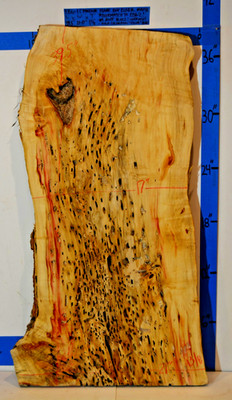 @@WOW Phoenix Flame BE Root Burl Live Edge GRADE 5, 39x21 - Dried & Planed EB6-1