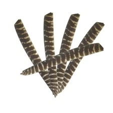 30 Pieces Full Length Turkey Feather Archery Arrow Fletching (7-11 Inch) for DIY