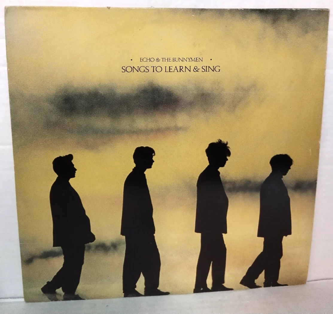 Echo & the Bunnymen Rock LP Vinyl Records for sale | eBay