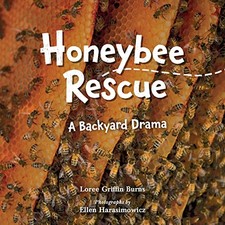 Honeybee Rescue: A Backyard Drama by Burns, Loree