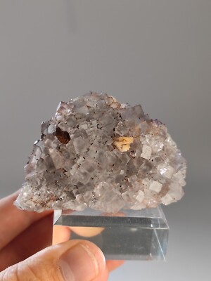  Fluorit Grube Clara, O. Wolfach, Schwarzwald, Baden-Würtemberg, DE  