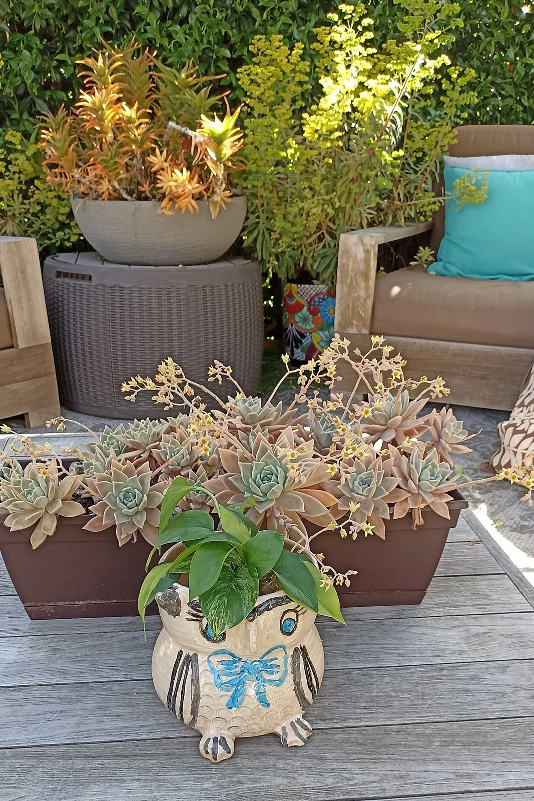 Foto 5 di 10