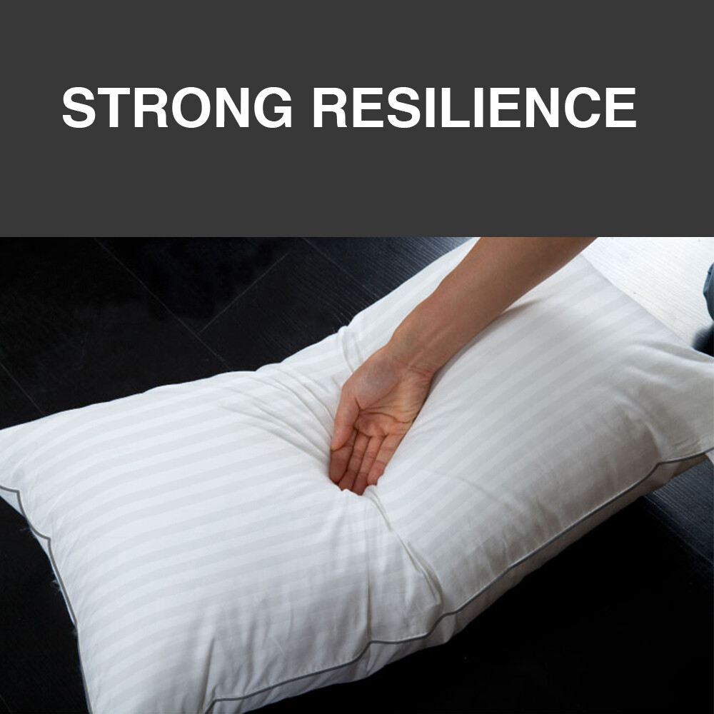 Bed Pillow Set of 2 Standard Queen King Size Strong Resiliense Feather