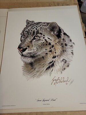 Guy Coheleach Snow Leopard Head Signed Print 20x16 