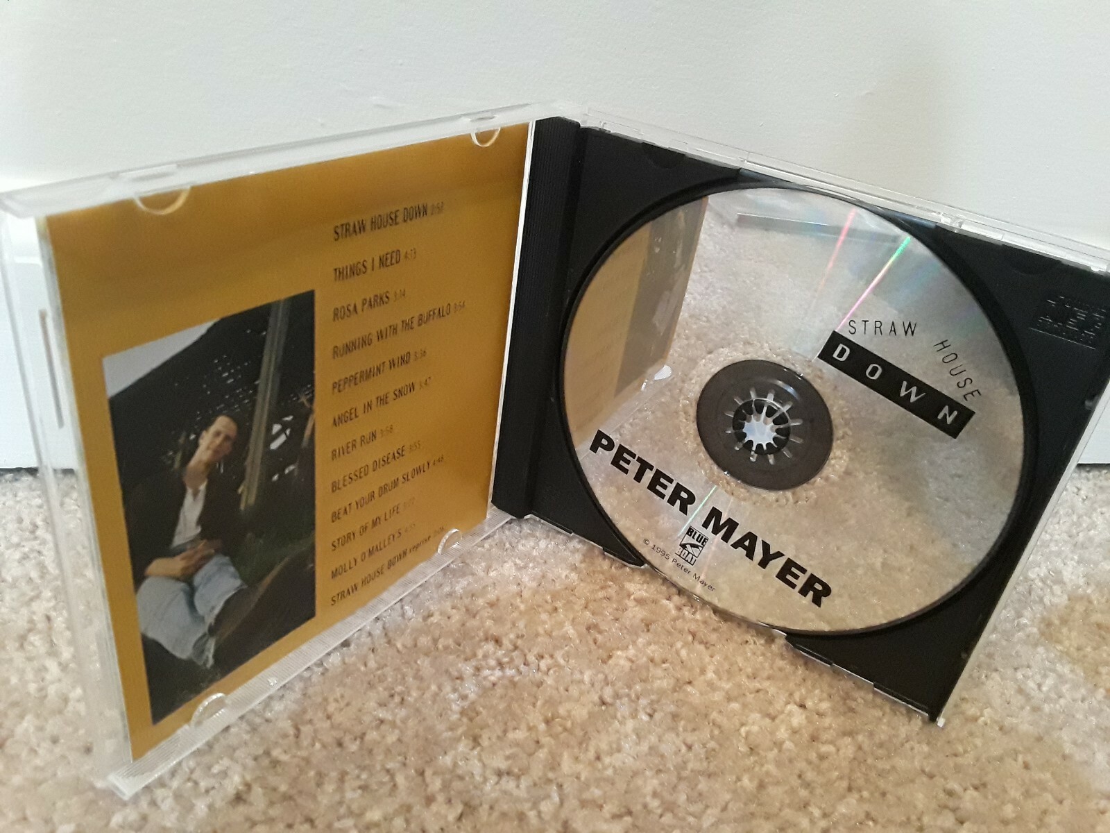 Straw House Down by Peter Mayer (Minnesota) (CD, Dec2002, Blue Boat