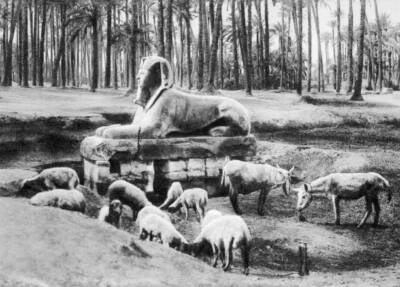 The Alabaster Sphinx, Cairo, Egypt, c1920s The Alabaster Sphinx was - Old Photo