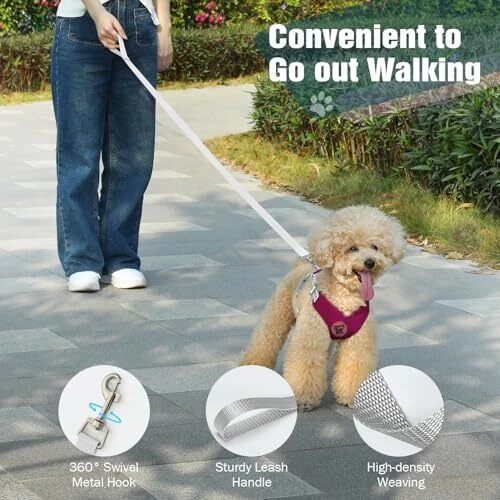 Dog Harness with Leash Set, X S(Neck 12.6-16.5" Chest 12.6-22.8") Magenta Dog Harness with Leash Set, X S(Neck 12.6-16.5" Chest 12.6-22.8") Magenta