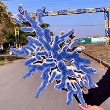 12.14LB Natural Blue Coral Reef Cluster Marine Mineral Crystal Specimen