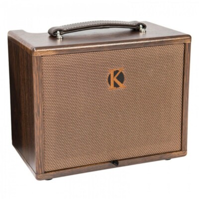 Kinsman KAA45 - 45 Watt Netz oder Akku Power Gitarrenverstärker Hall & Chorus