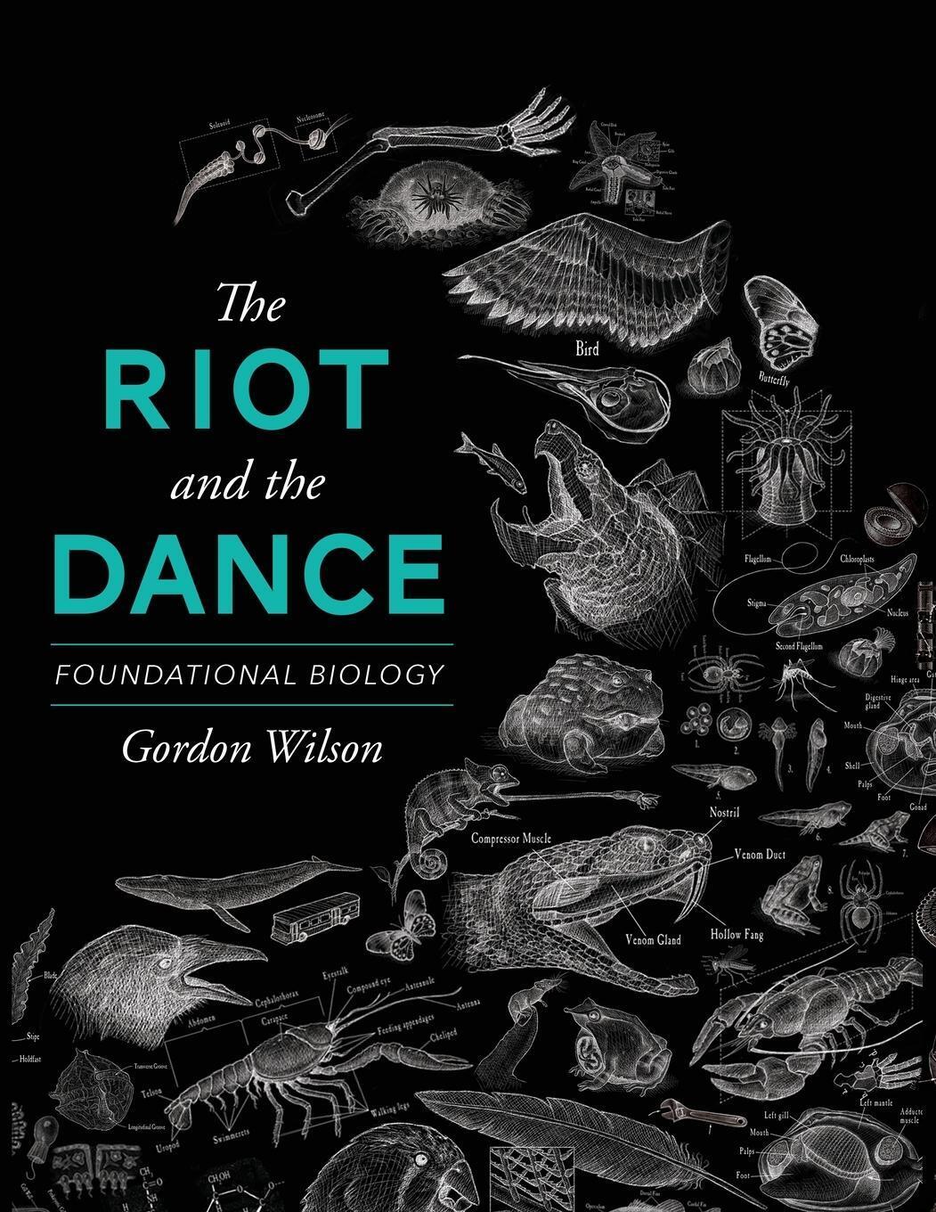 Thumbnail - Gordon Wilson | The Riot And The Dance | Taschenbuch | Englisch (2015)