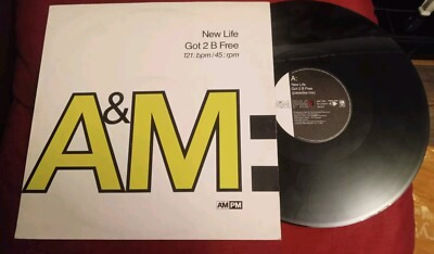 New Life - Got 2 B Free - 12'' Vinyl LP - (1990) - A&M - Am:Pm