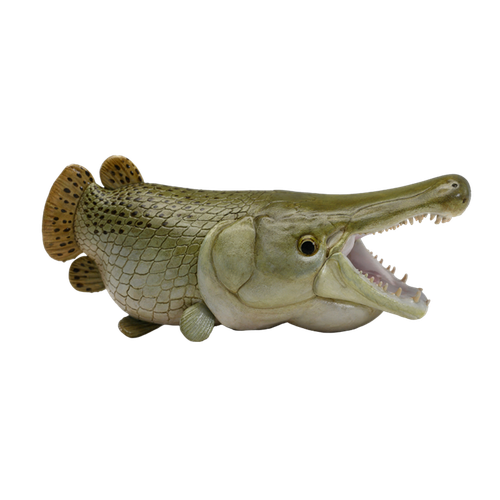 alligator gar plush