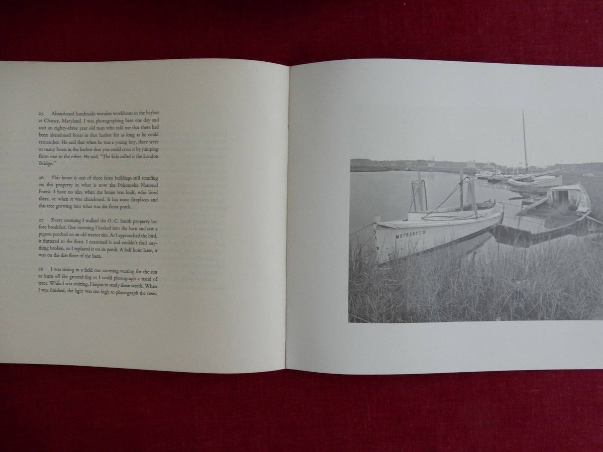 スティーブ・サボー STEAVE SZABO The Eastern Shore The Eastern Shore | Steve SZABO
