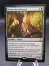 MTG Tendershoot Dryad Rivals of Ixalan - Legendsonmain