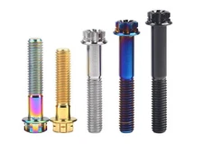 Titanium Bolts M8x1.25 Flange Fancy Head Torx Screw 20 25 30 35 40 45 50 55mm