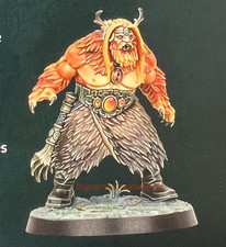 Drasher Vorn Werebear Warhammer Quest: Darkwater Age Of Sigmar WHFB AoS