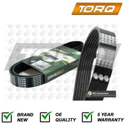 Drive Belt Torq Fits Dacia Duster 2017-2025 1.6 117205678R 117201353R