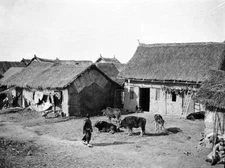 Wuhan China, thatched-roof homes of fire refugees OLD PHOTO