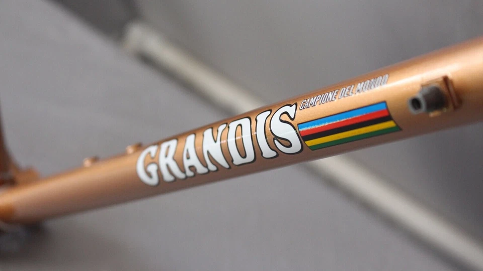 GRANDIS CAMPIONE DEL MONDO Oro 57 x 56 cm Columbus SL AÑOS 80 Hecho a Mano en Italia Foto 3 de 4