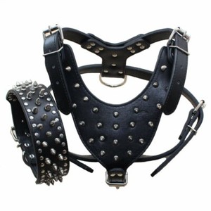 pitbull collars ebay