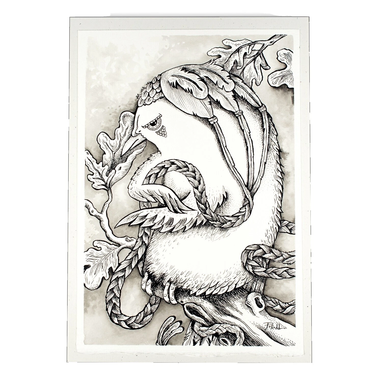 Aves tinta arte dibujos