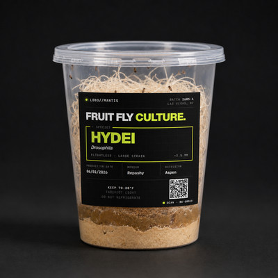 dugudagii Condensed phase 17 ドゥグダギ D. Hydei Flightless Fruit Fly Culture (Drosophila Hydei) 32oz | eBay