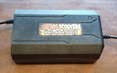 Razor PR200 e300 Pocket Rocket 36V OverVolt Charger | 36V | built in ...