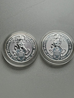 2 x 2 Unze 5 Pounds 2019 Silber .999 Yale of Beaufort