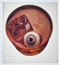 Original VINTAGE 1970s Heat Transfer | Eyeball in Glass Graphic