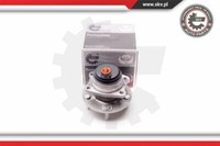 1X Esen SKV Radlager Radlagersatz Beidseitig Hinten FüR Chrysler Voyager IV RG