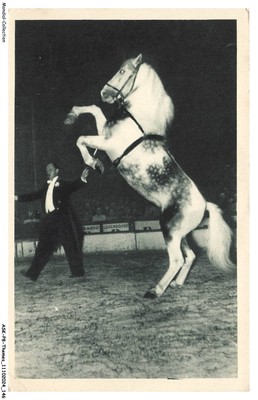 ASKP8-0478-CIRQUE - Radio-Circus - Cultural - Hufeisen Cabreur