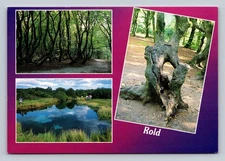 Vintage Rold Denmark Postcard Scenic Forest & Blue Spring Views