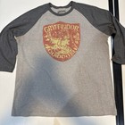 Harry Potter 3/4 Sleeve T-Shirt  Gryffindor Quidditch XL