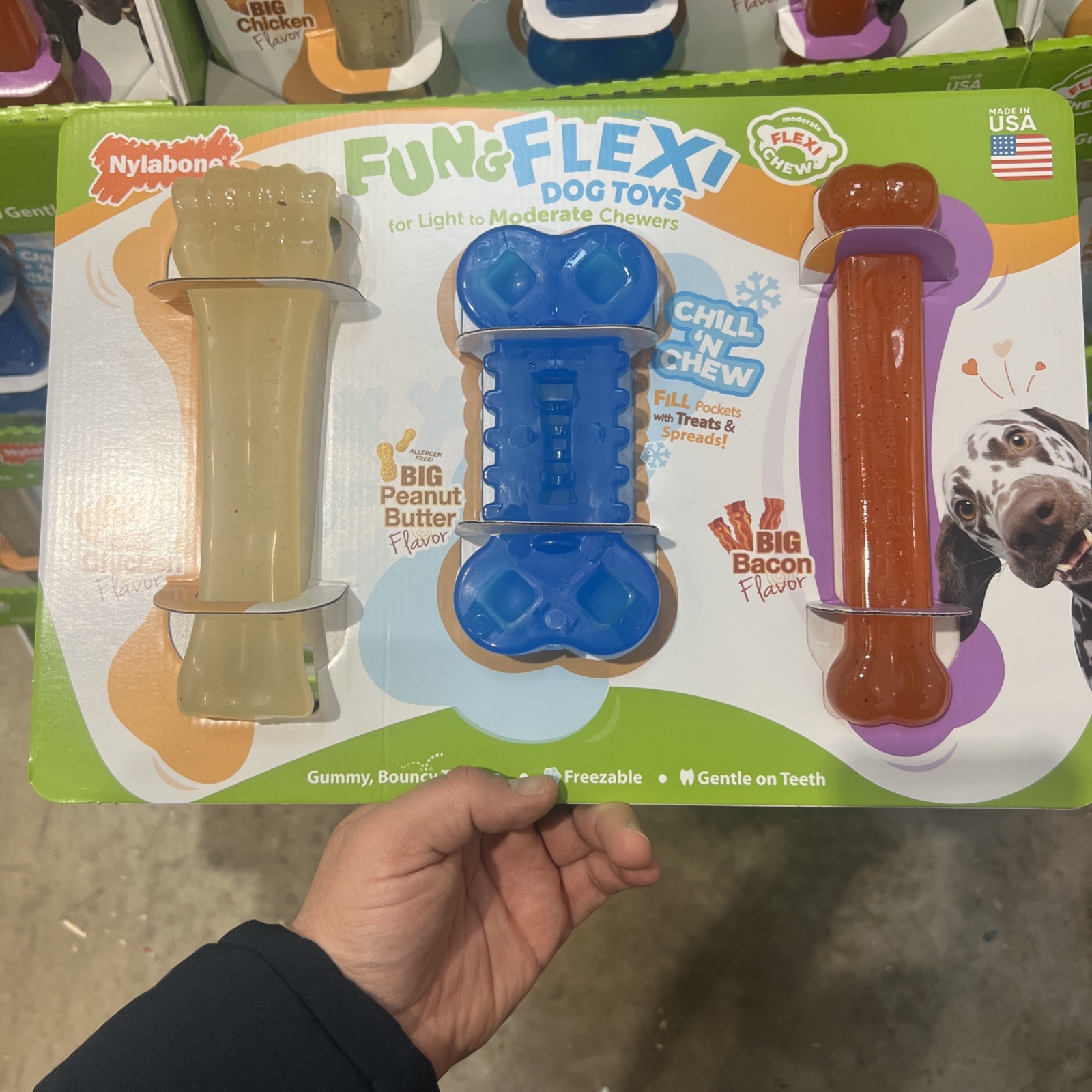 Nylabone Fun and Flexi Dog Chew Toys, 3-count for light moderate chewers