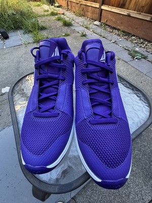 Nike Ja 1 TB Promo Basketball Shoes “Court Purple” (HJ7386-500