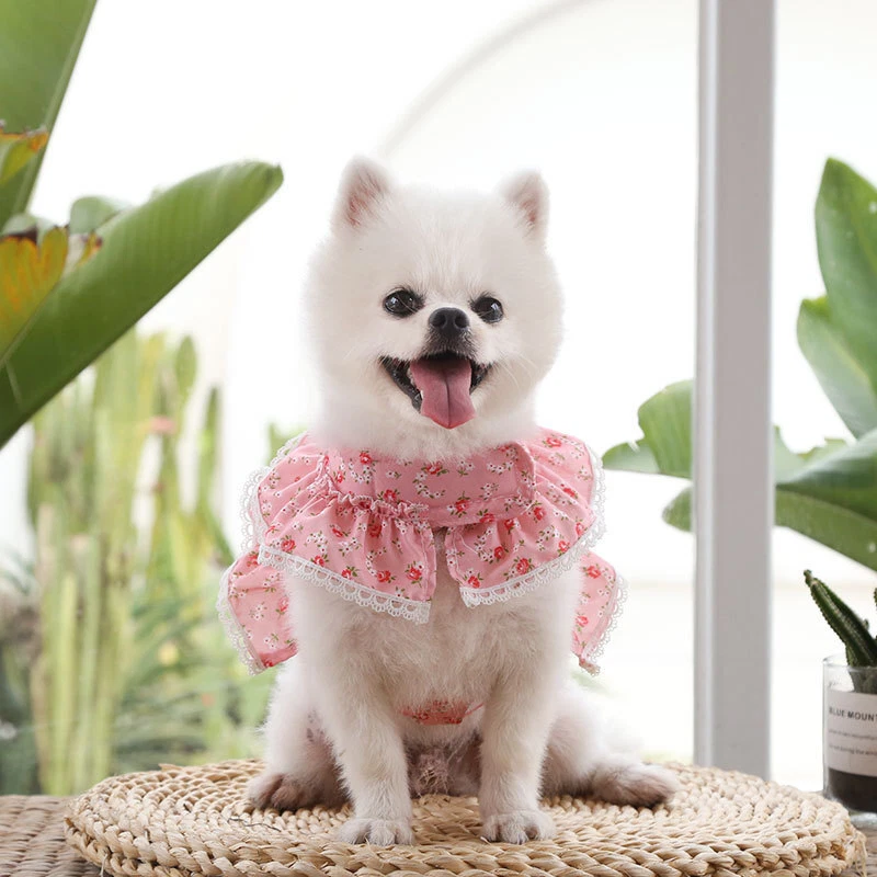 Dog Harness With Leash Adjustable Soft Padded Pet Vest Flower Lace For Small