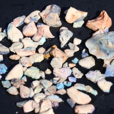 270cts+ Nice Lightning Ridge Fossil/Nobby Opal Smaller Pieces Mainly