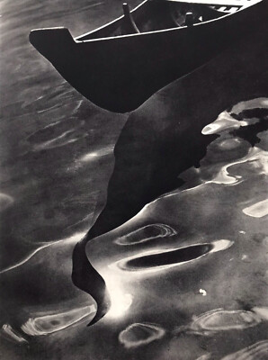 Wunderschöne Studie über Reflexionen im Wasser 1956 des Singapur Fotografen Lim Lee