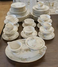 APPLE BLOSSOM by THEODORE HAVILAND (NewYork) 61 Piece Dinner Set EUC/MINT WOW!
