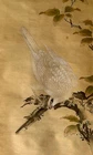 Superb Signed painted scroll depicting Hawk. 19th century.ZM35