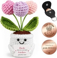 Abschiedsgeschenk Kollegin Lehrerin Erzieherin Pocket Hug GehäKelte Blumen