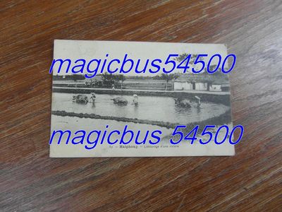 CPA AK Postkarte: HAIPHONG HAI-PHONG Vietnam Pflügen Reisfeld 1909