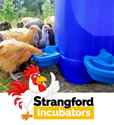 Maxicup Drinker - Automatic - Plastic - for Poultry and Waterfowl (HCBC375)
