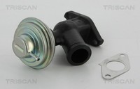 Triscan AGR Ventil 8813 10011 FüR CitroËN 9D Peugeot Xantia Fiat Berlingo Zeta 1