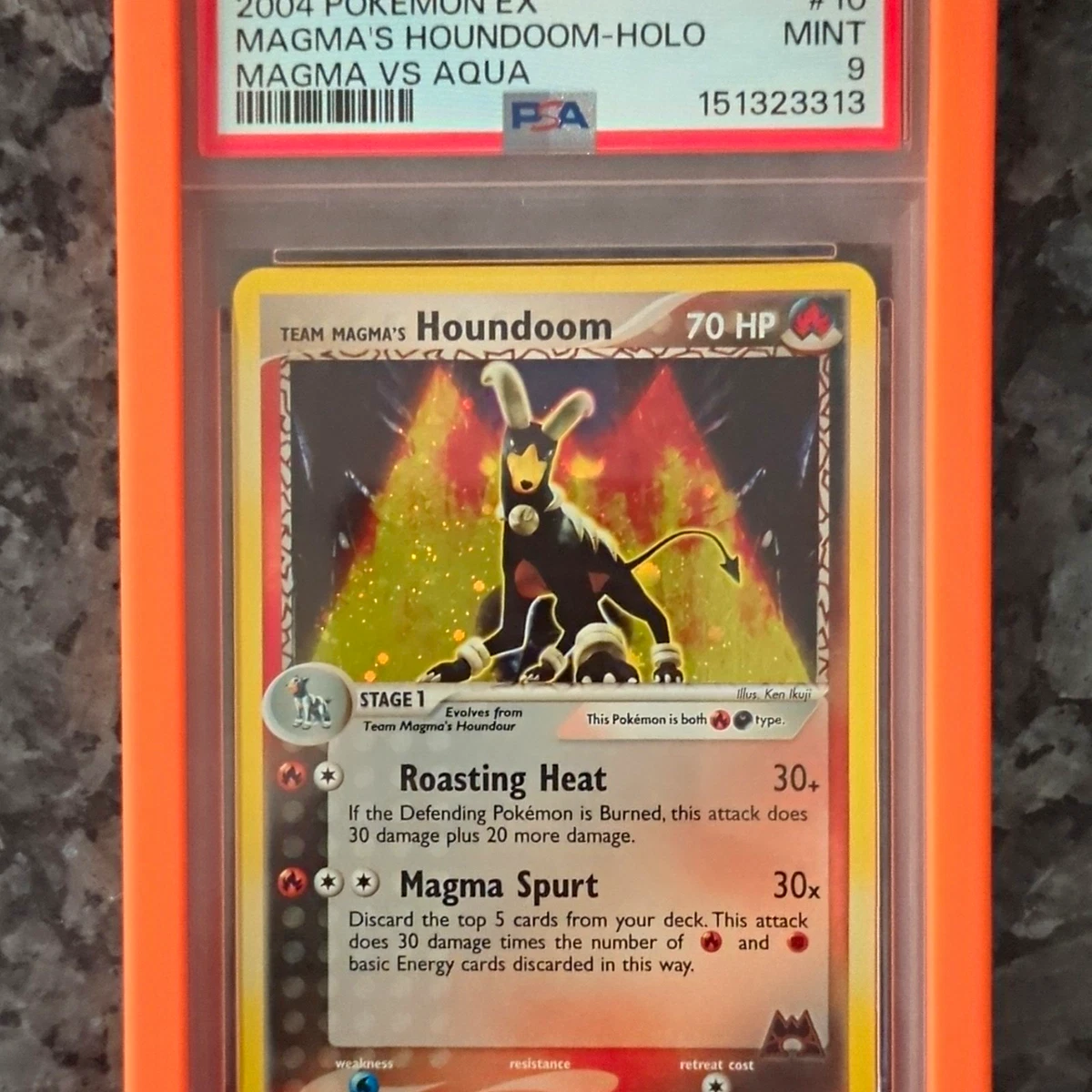 Magma'S Houndoom