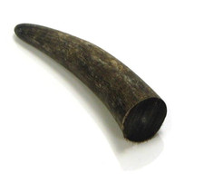 Horn Tips For Crafting, Natural Ox Horn for Handles Bow Nocks, Horn Points Horn Tips For Crafting, Natural Ox Horn for Handles Bow Nocks, Horn Points - Image 1
