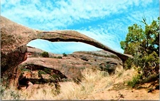 Landscape Arch Arches National Monument Utah Postcard