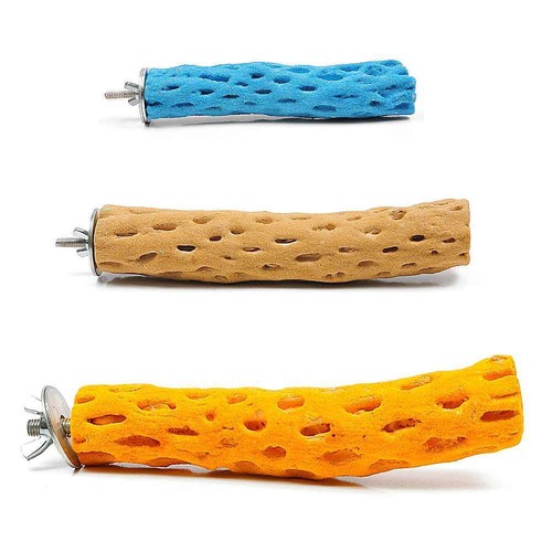 Polly's Beach Sands Bird Perch Cactus Wood Shaped Pedicure Perches eBay